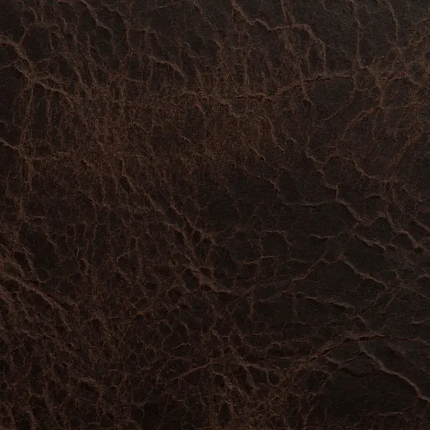 万博体育 体育盛况